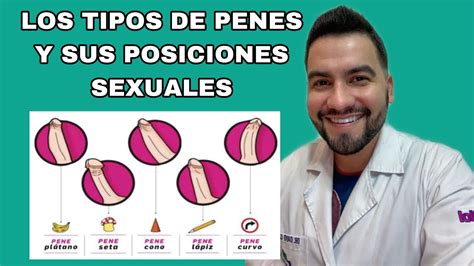 lo mejores penes|Todos los tipos de pene que hay y las mejores posturas sexuales .